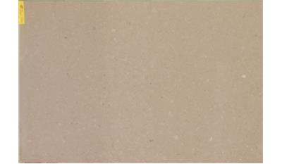 Shitake (4230) Quartz