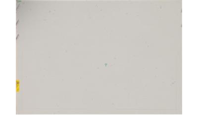 Misty Carrera (4141) Quartz