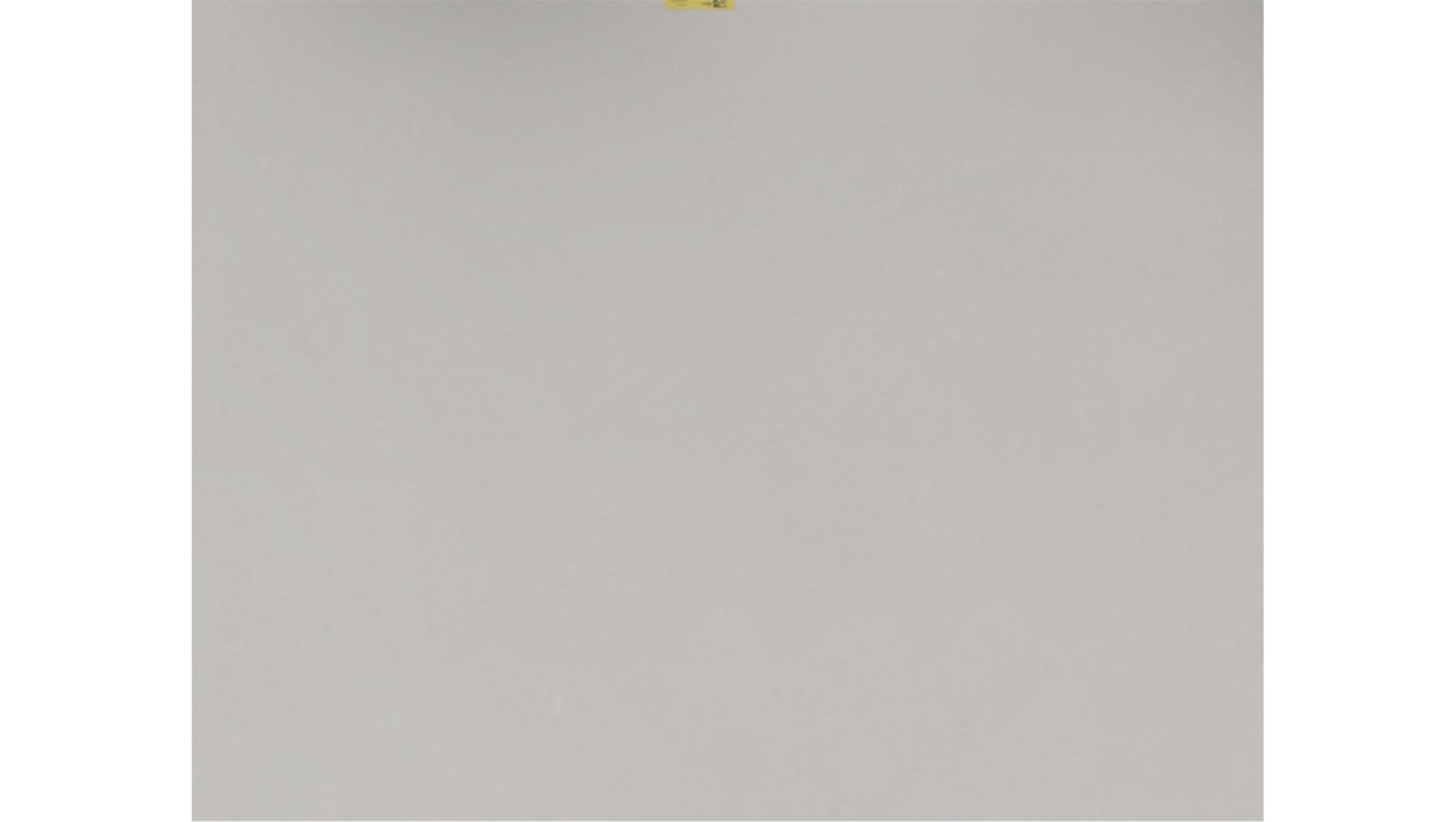 Organic White (4600) Quartz Slabs