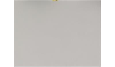 Organic White (4600) Quartz