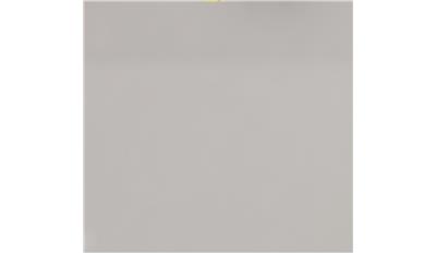 Fresh Concrete (4001CN) Quartz