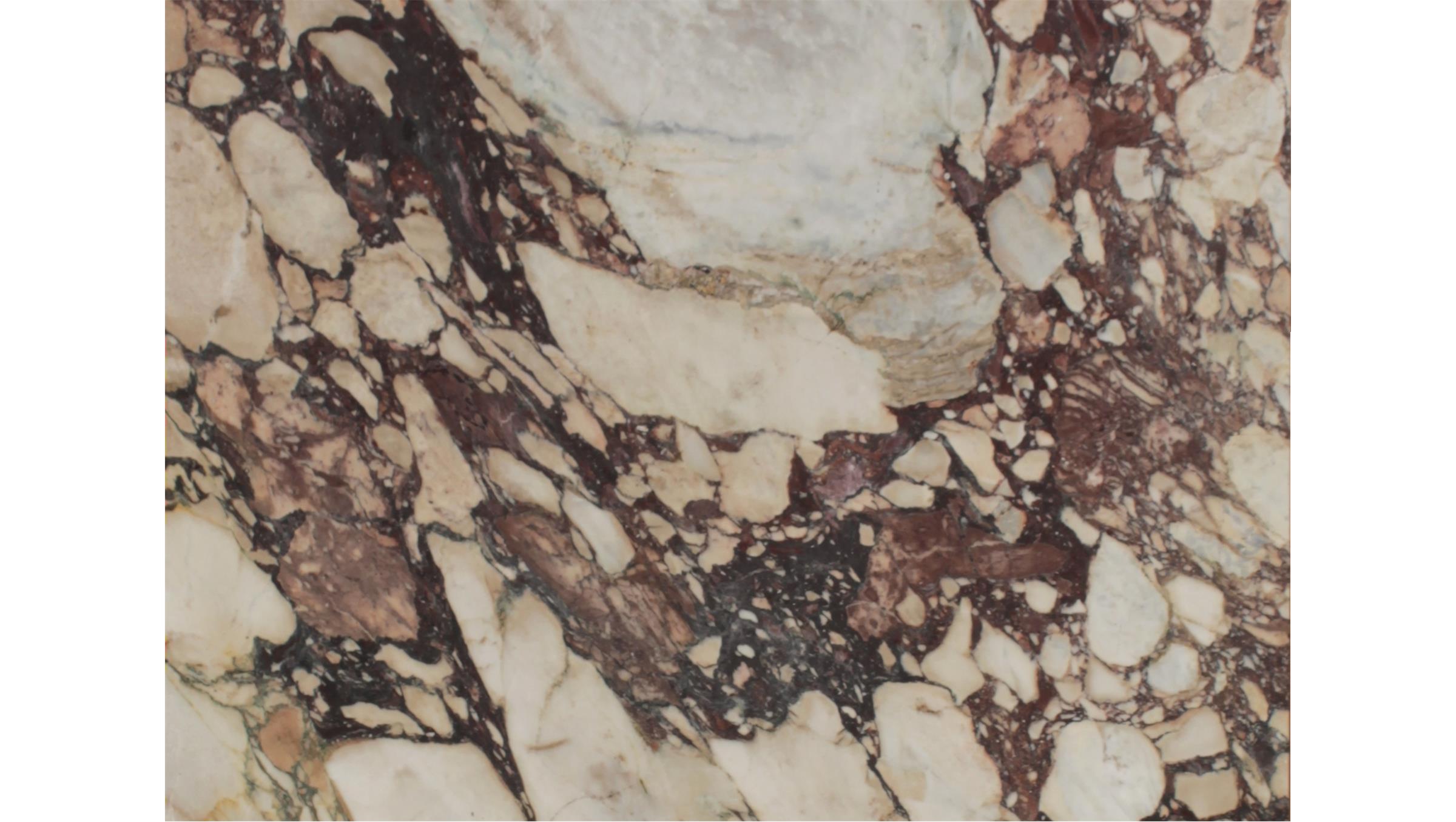 Calacatta Viola Marble Slabs