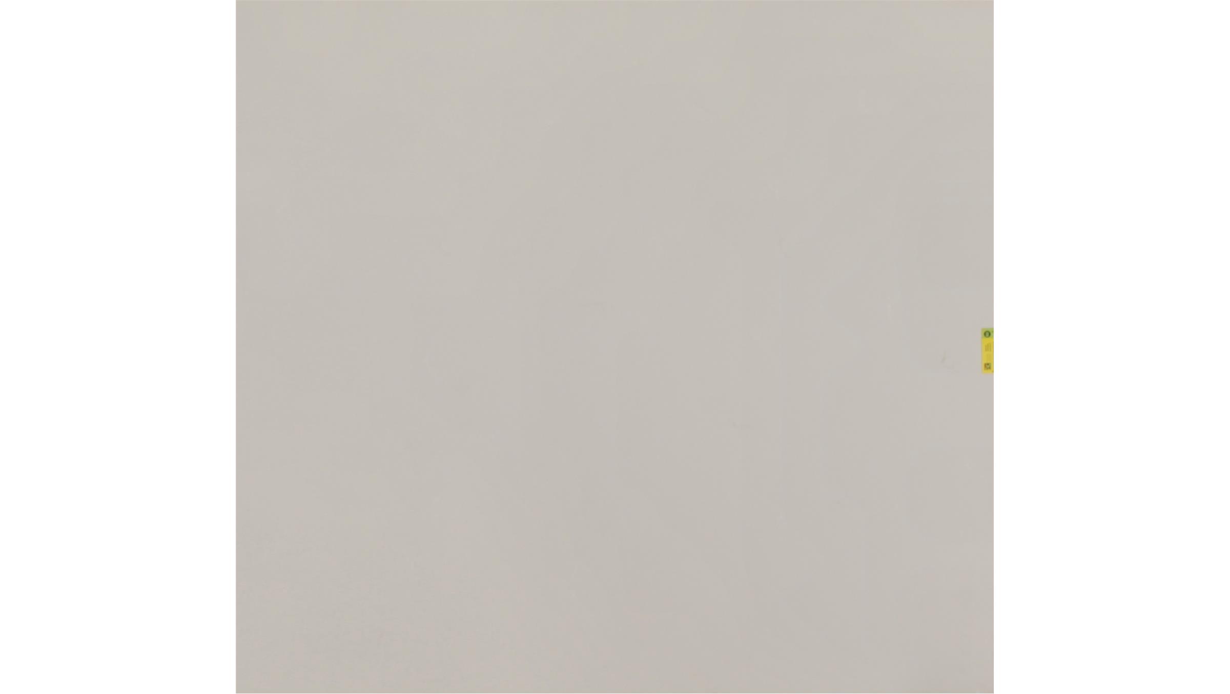 Fresh Concrete (4001CN) Quartz Slabs