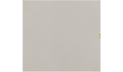 Fresh Concrete (4001CN) Quartz