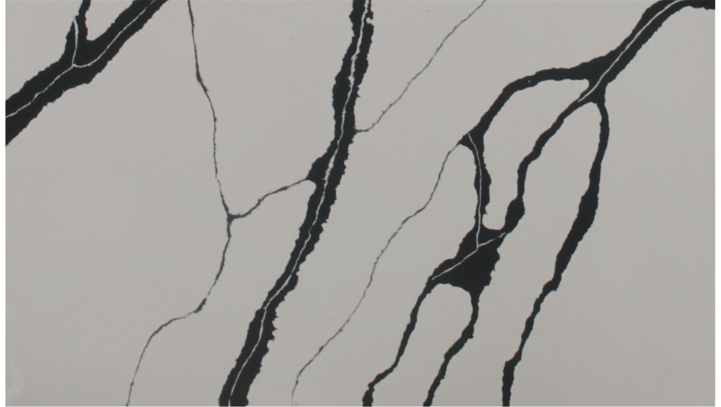 Calacatta Inky Quartz Slabs