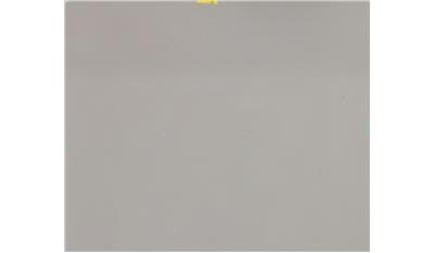 Raw Concrete (4004CN) Quartz