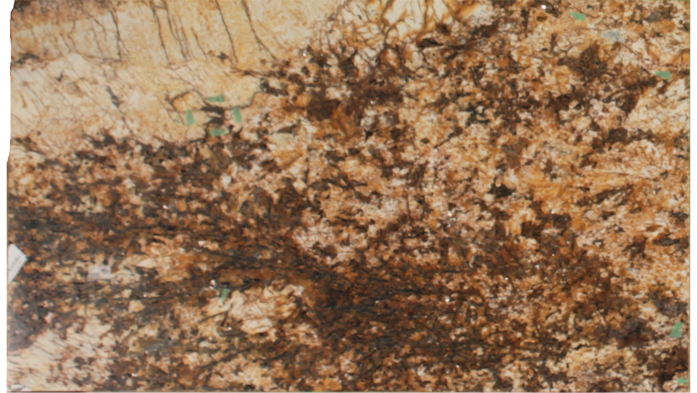 Splendor Gold Granite Slabs