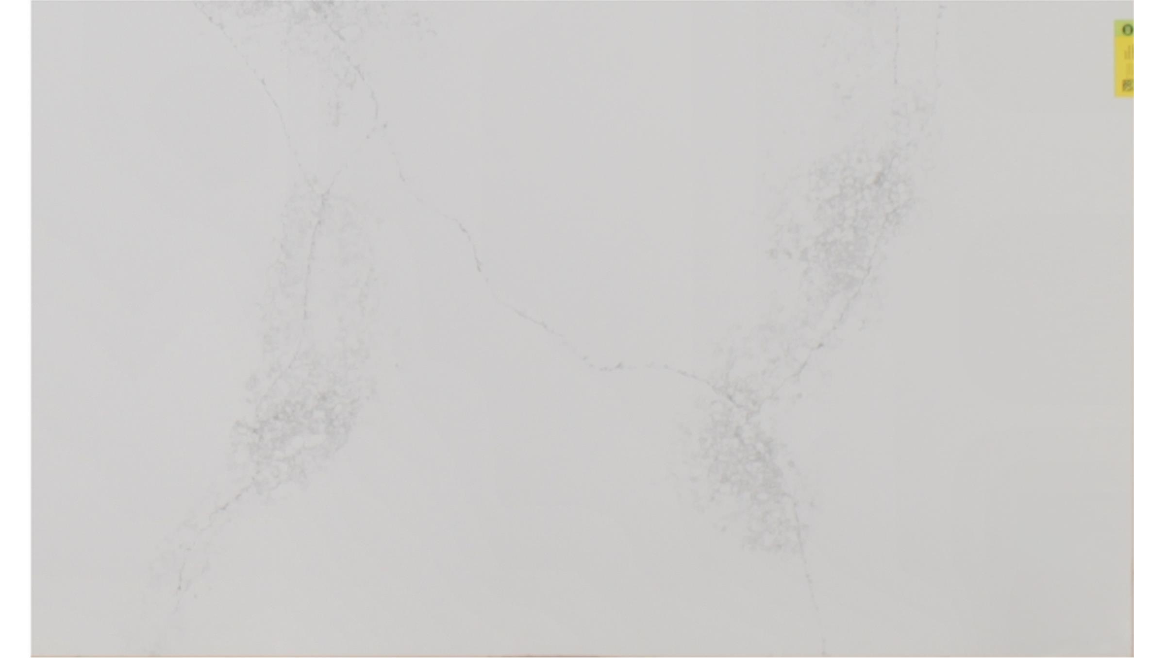 Empira White (5151) Quartz Slabs
