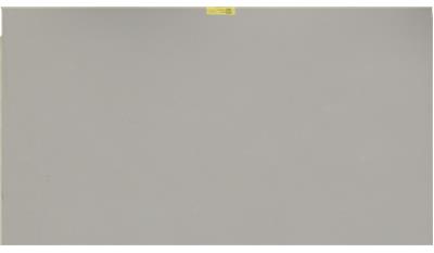 Raw Concrete (4004CN) Quartz