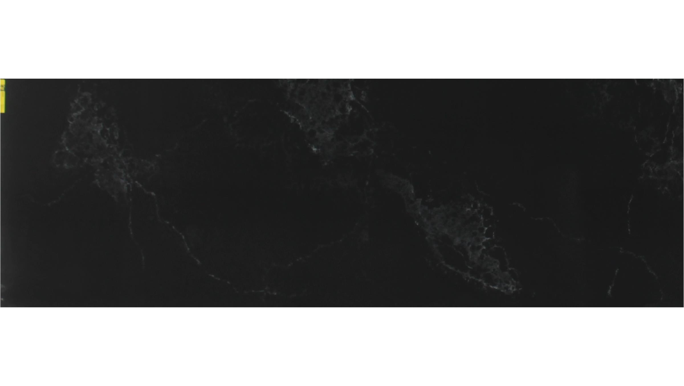 Empira Black (5101) Quartz Slabs