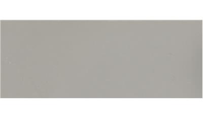 Raw Concrete (4004CN) Quartz