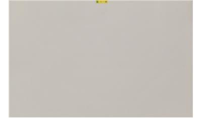 Fresh Concrete (4001CN) Quartz