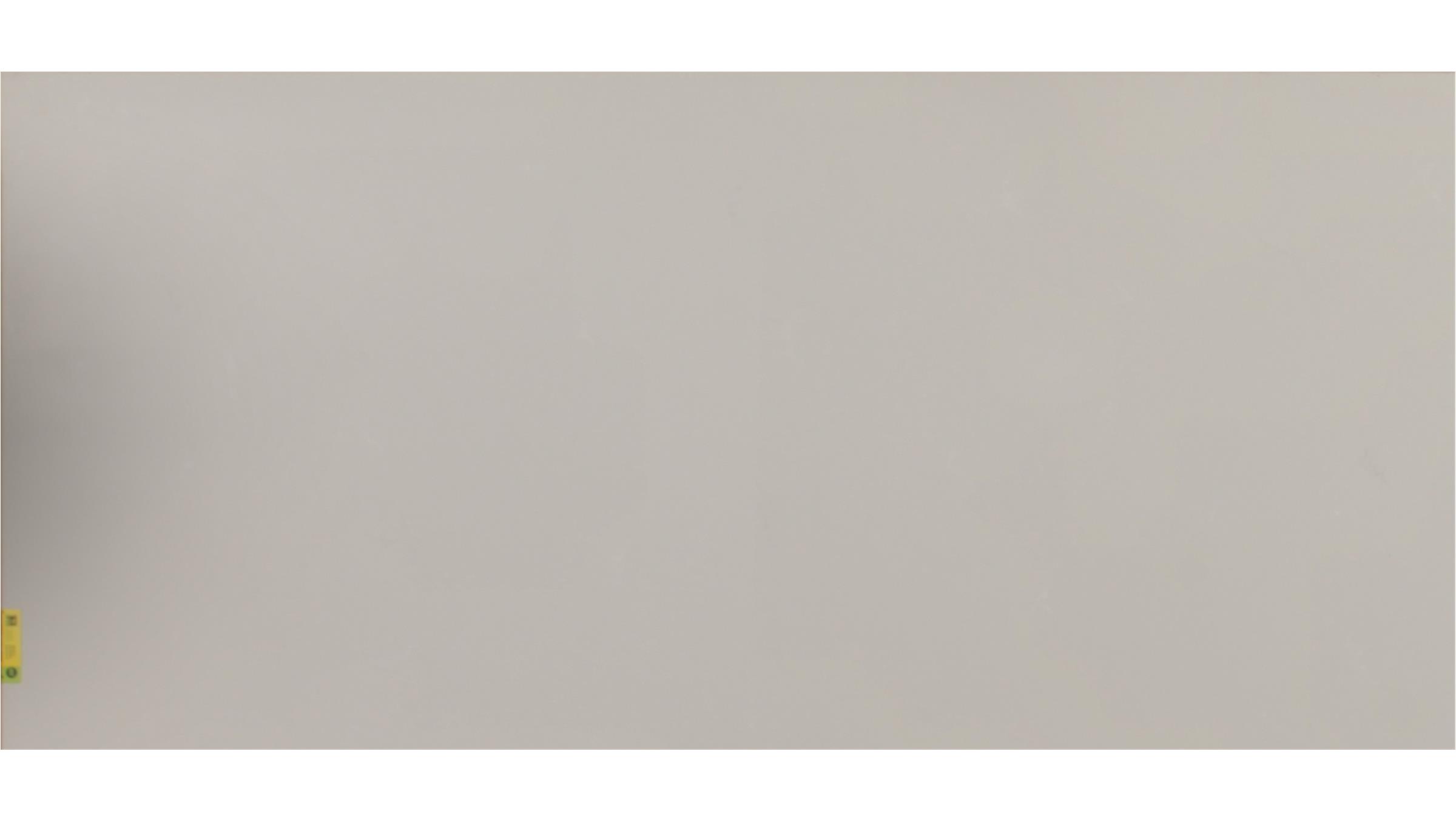 Fresh Concrete (4001CN) Quartz Slabs