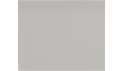 Fresh Concrete (4001CN) Quartz