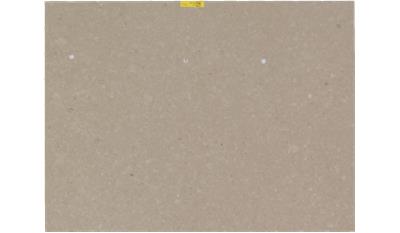 Shitake (4230) Quartz