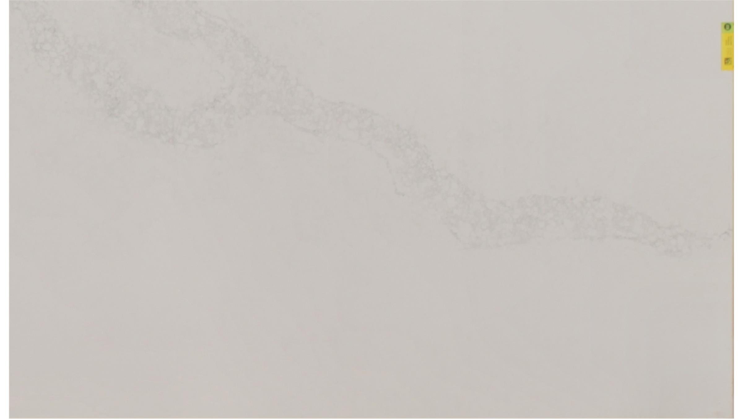 Calacatta Nuvo (5131) Quartz Slabs