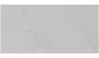 Empira White (5151) Quartz