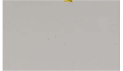 Misty Carrera (4141) Quartz