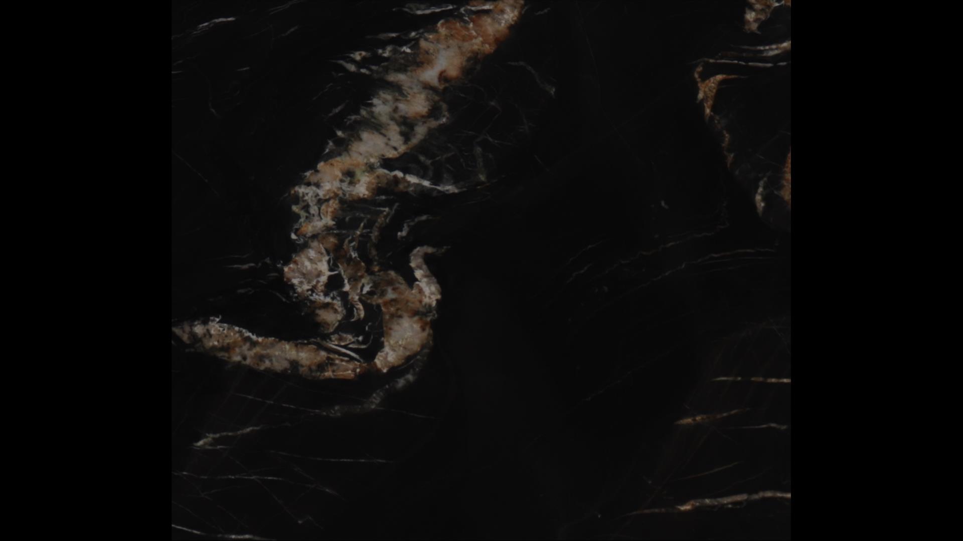 Belvedere Gold Quartzite Slabs