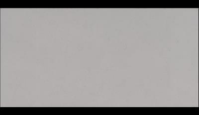 Carrara Classic Quartz