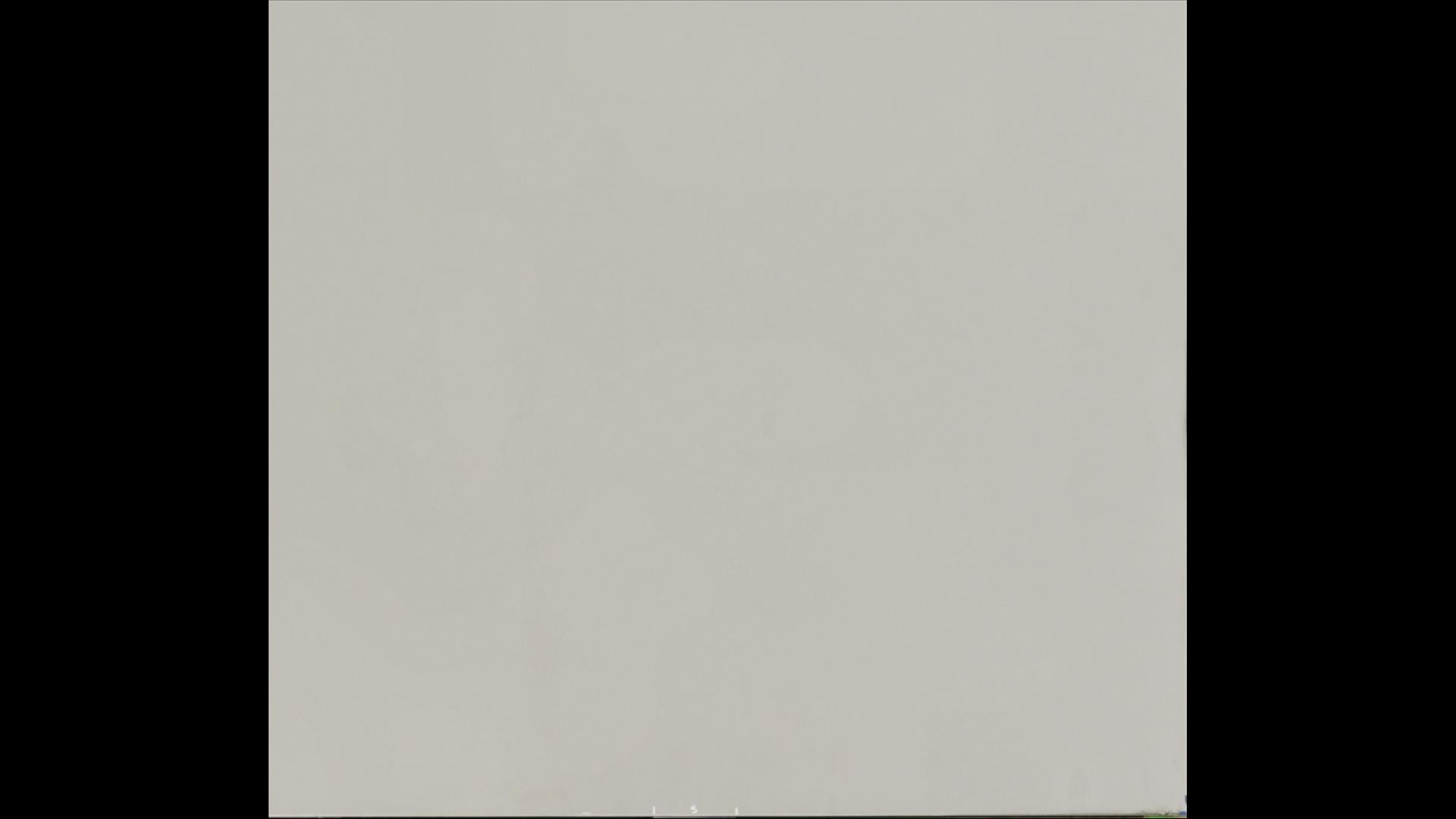 Cosmopolitan Gray Quartz Slabs