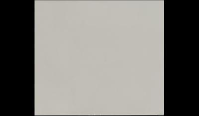Cosmopolitan Gray Quartz