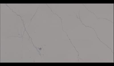 Calacatta Miraggio Quartz