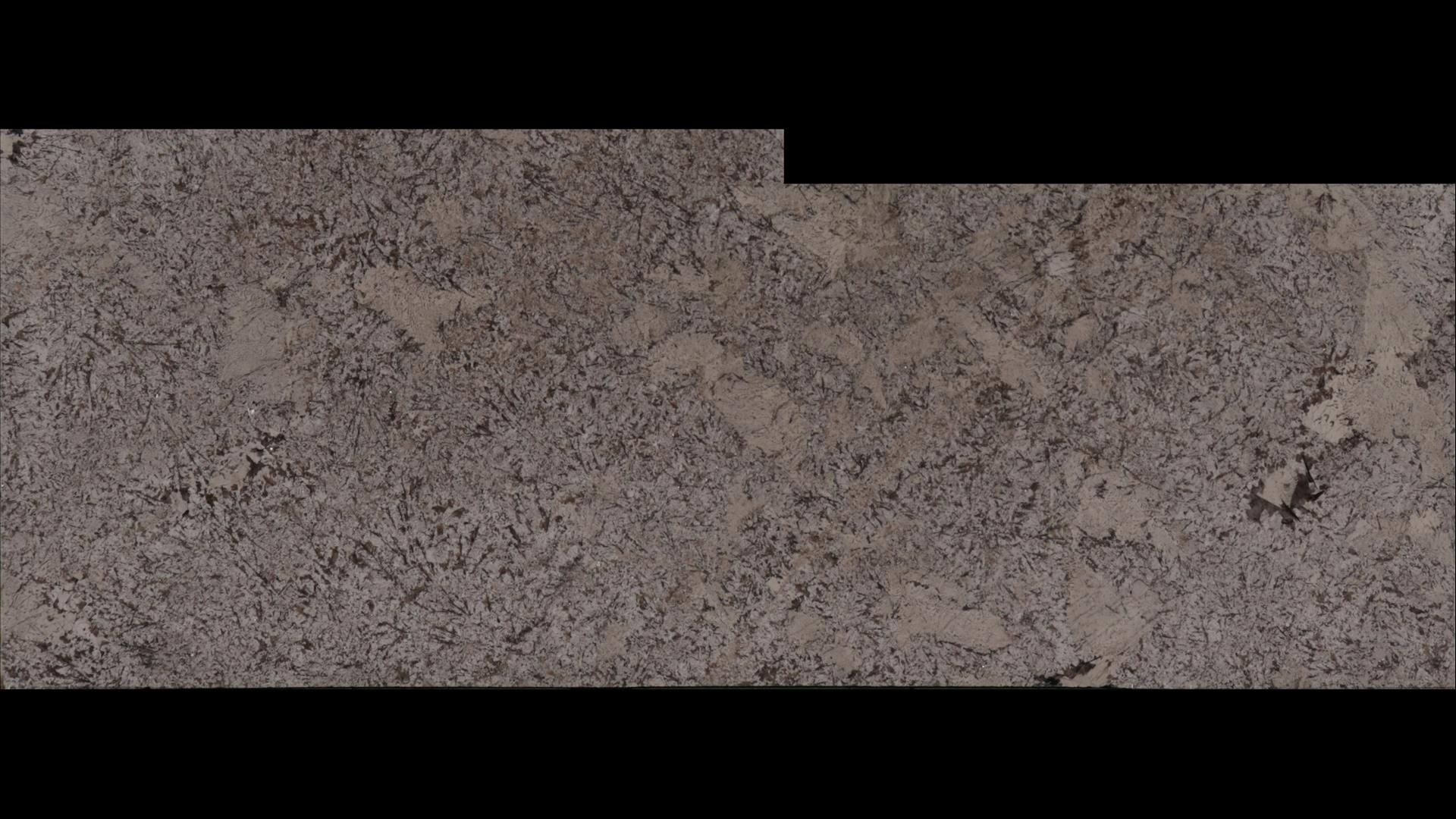 Crema Typhoon Granite Slabs