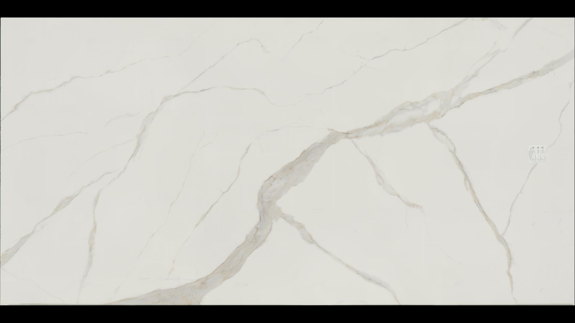 Calacatta Michelangelo Porcelain Slabs