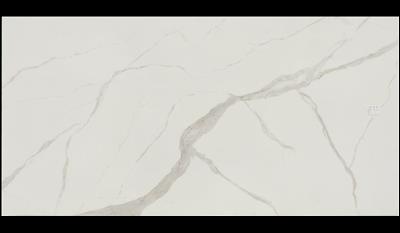 Calacatta Michelangelo Porcelain