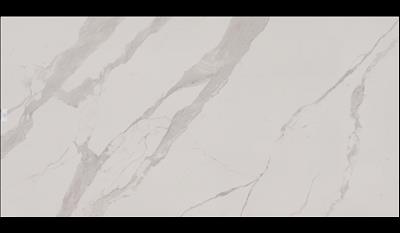 Bianco Stat Venat Porcelain