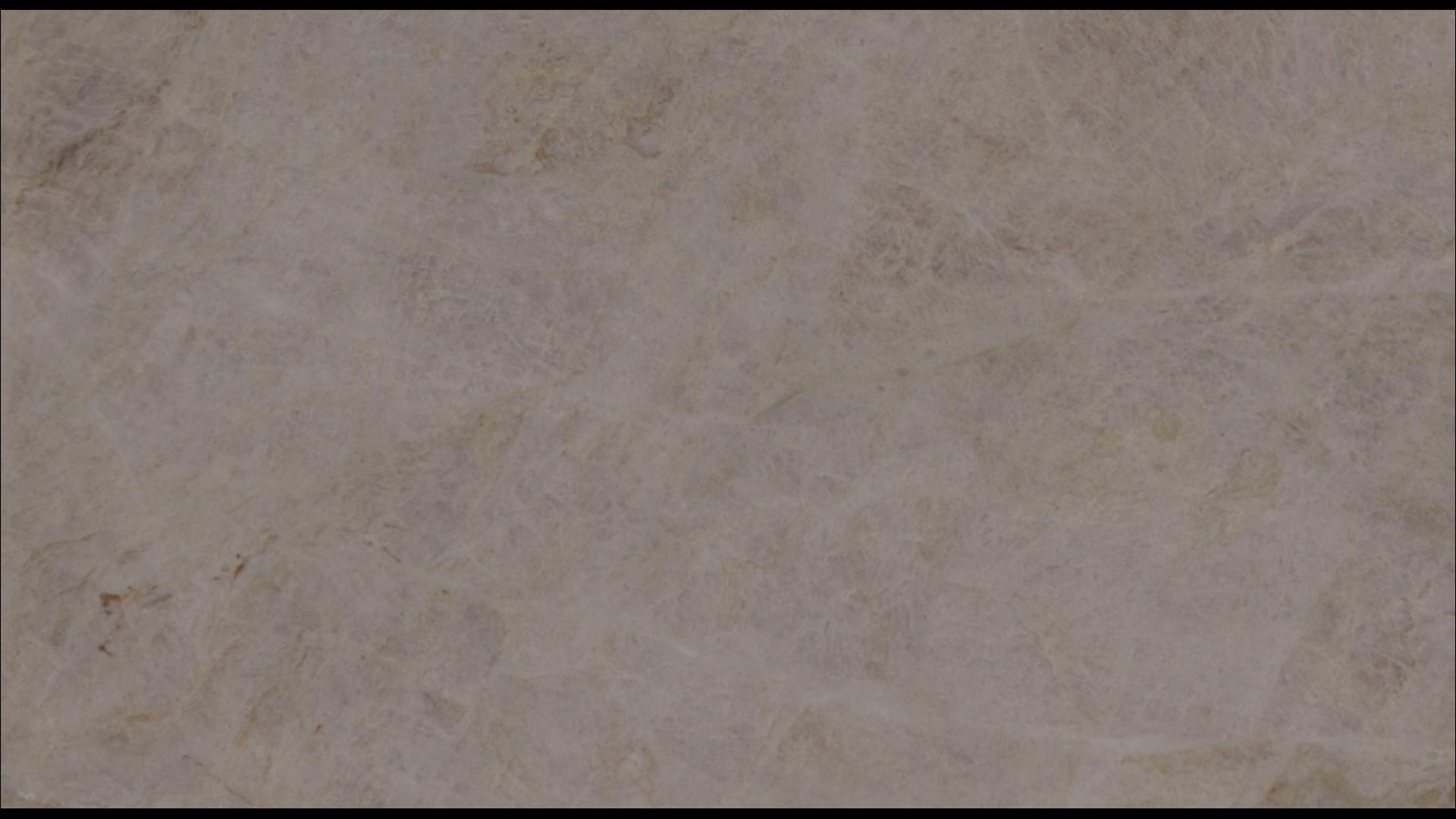 Taj Mahal Quartzite Slabs