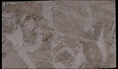 Venaria Reale Quartzite