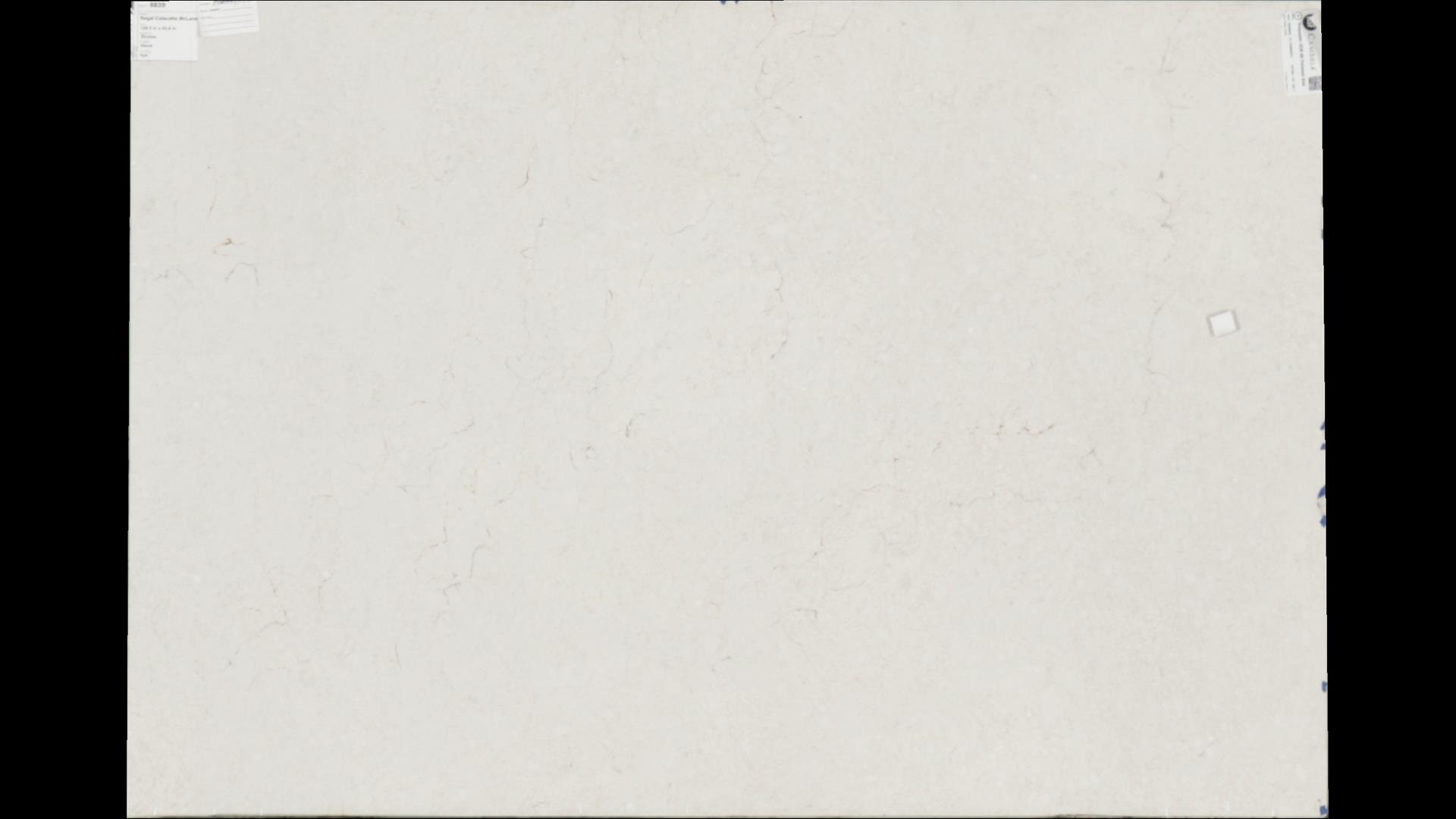Regal Calacatta McLaren Quartz Slabs