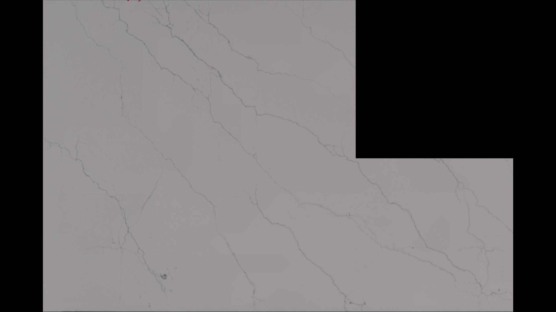 Calacatta Miraggio Quartz Slabs