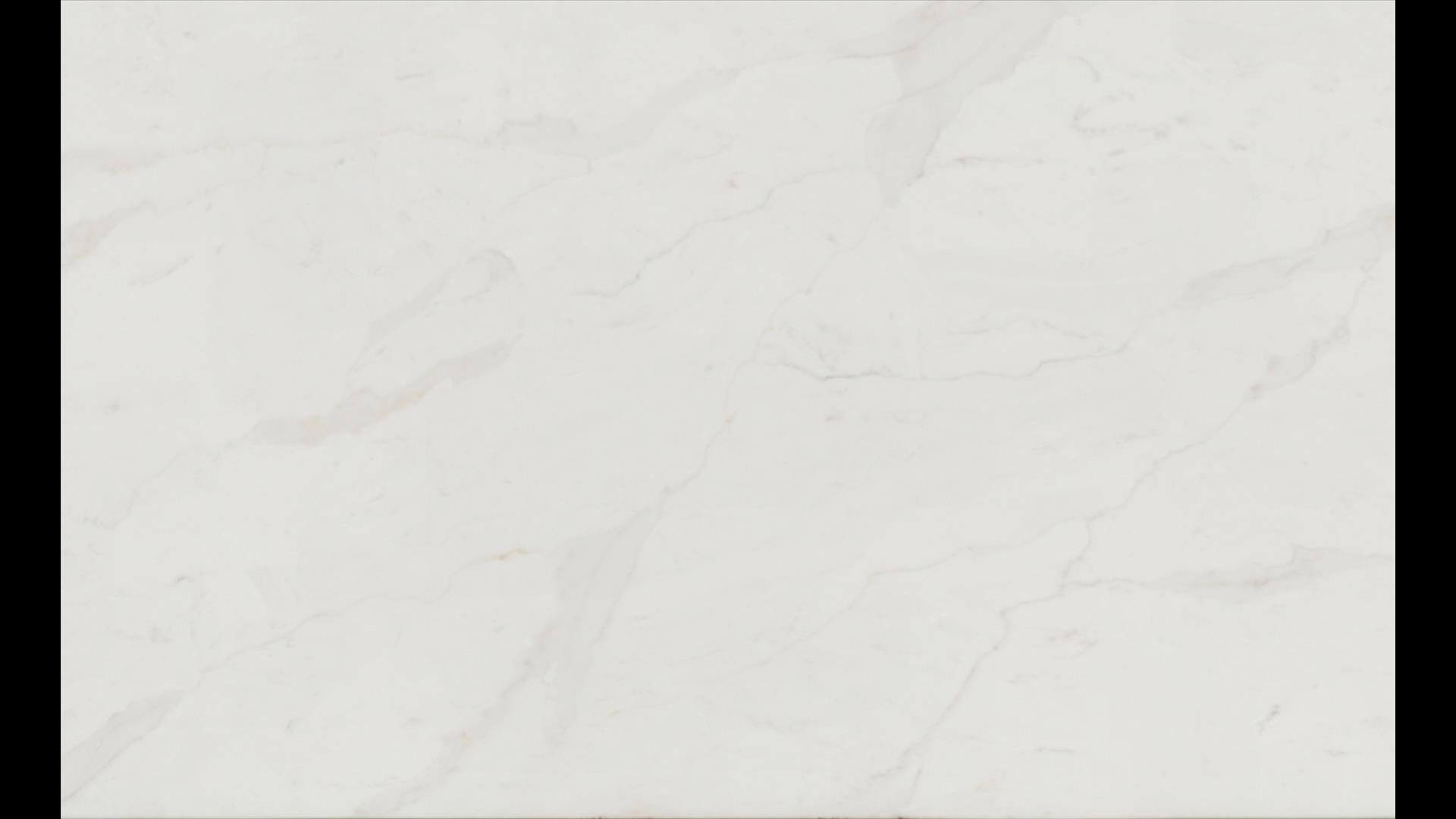 Calacatta Amora Quartz Slabs
