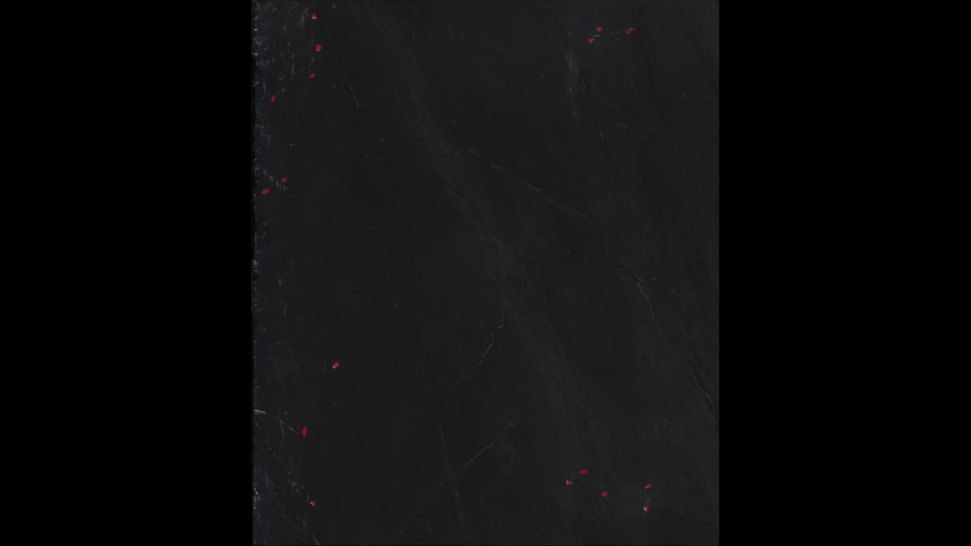 Indian Black Soapstone Slabs
