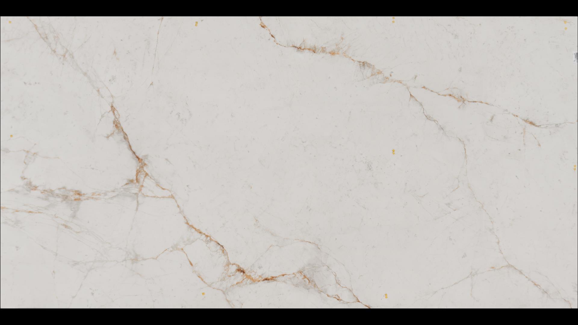 Abu Dhabi White Neolith Slabs
