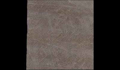 Taj Mahal Premium Quartzite