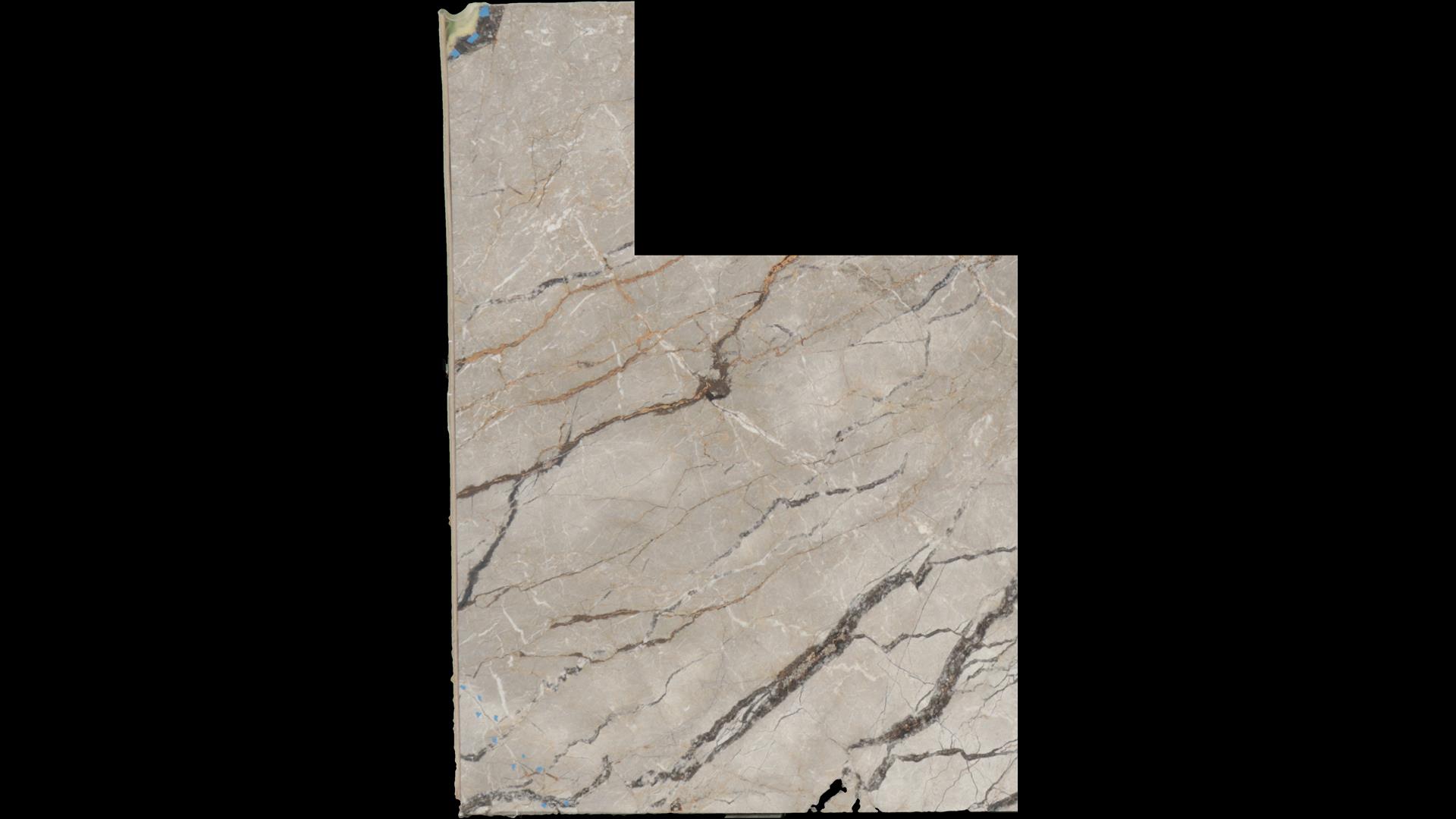 Silver Roots Marble Slabs