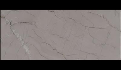 Swan Quartzite