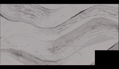 Windsor Brass Quartz