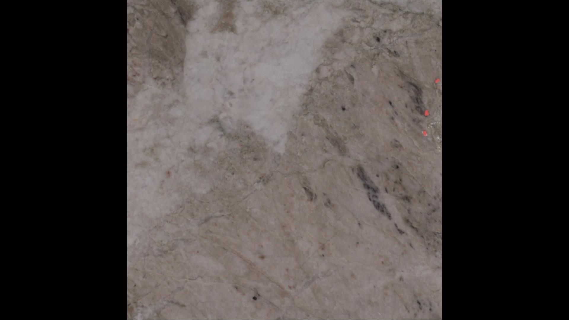 Venaria Reale Quartzite Slabs