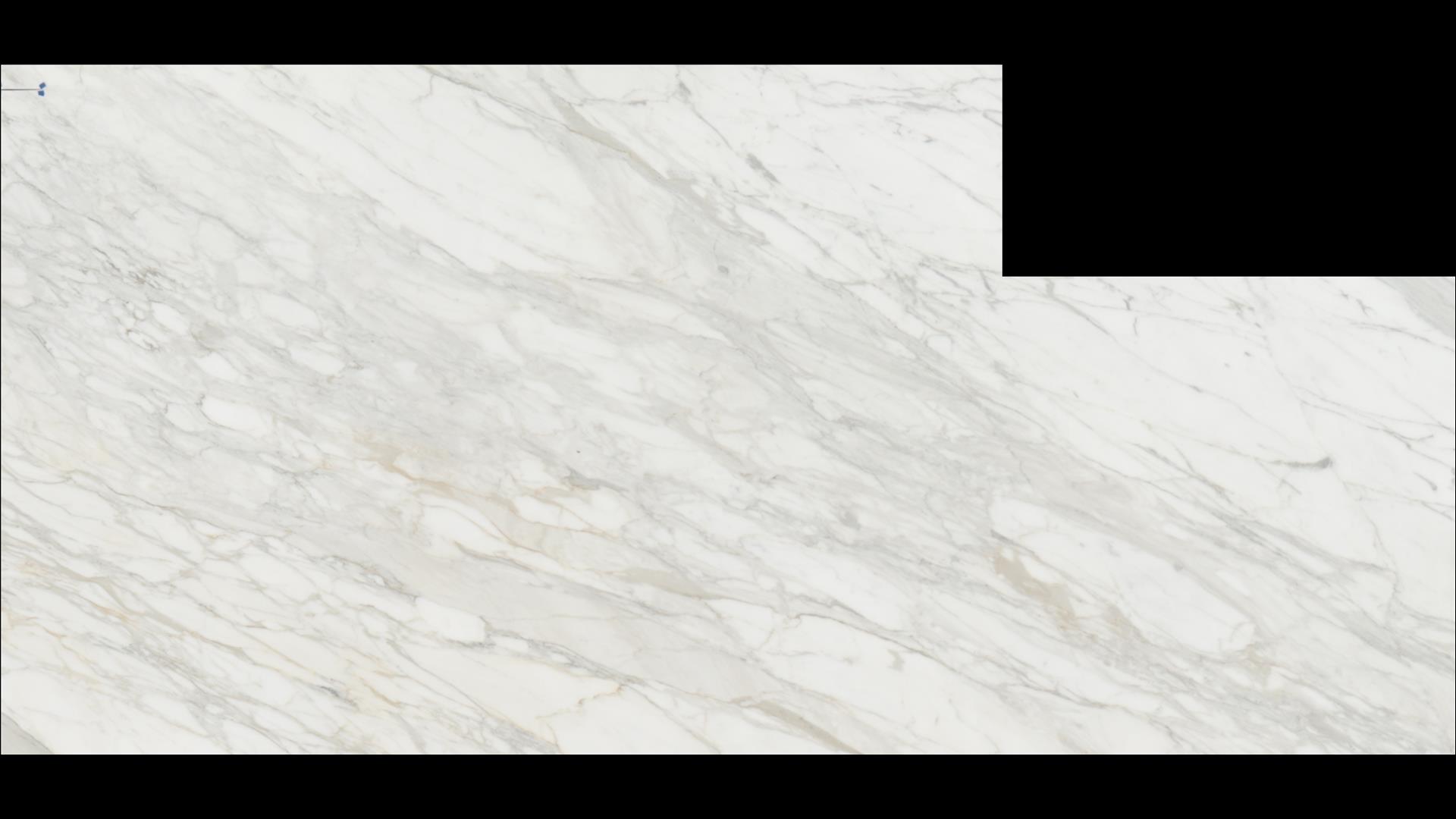 Calacatta Gold Marble Slabs