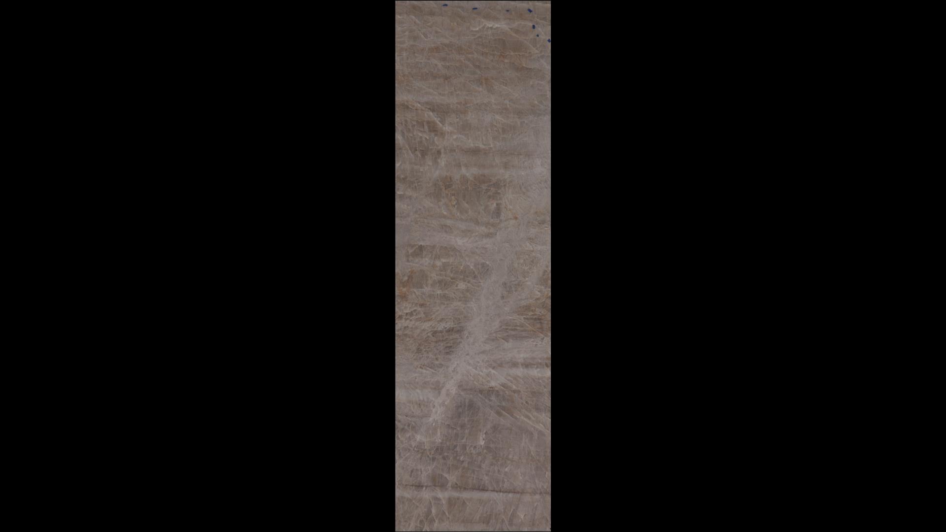 Taj Avohai Quartzite Slabs