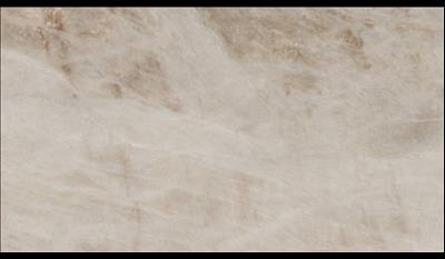 Perla Venata Quartzite