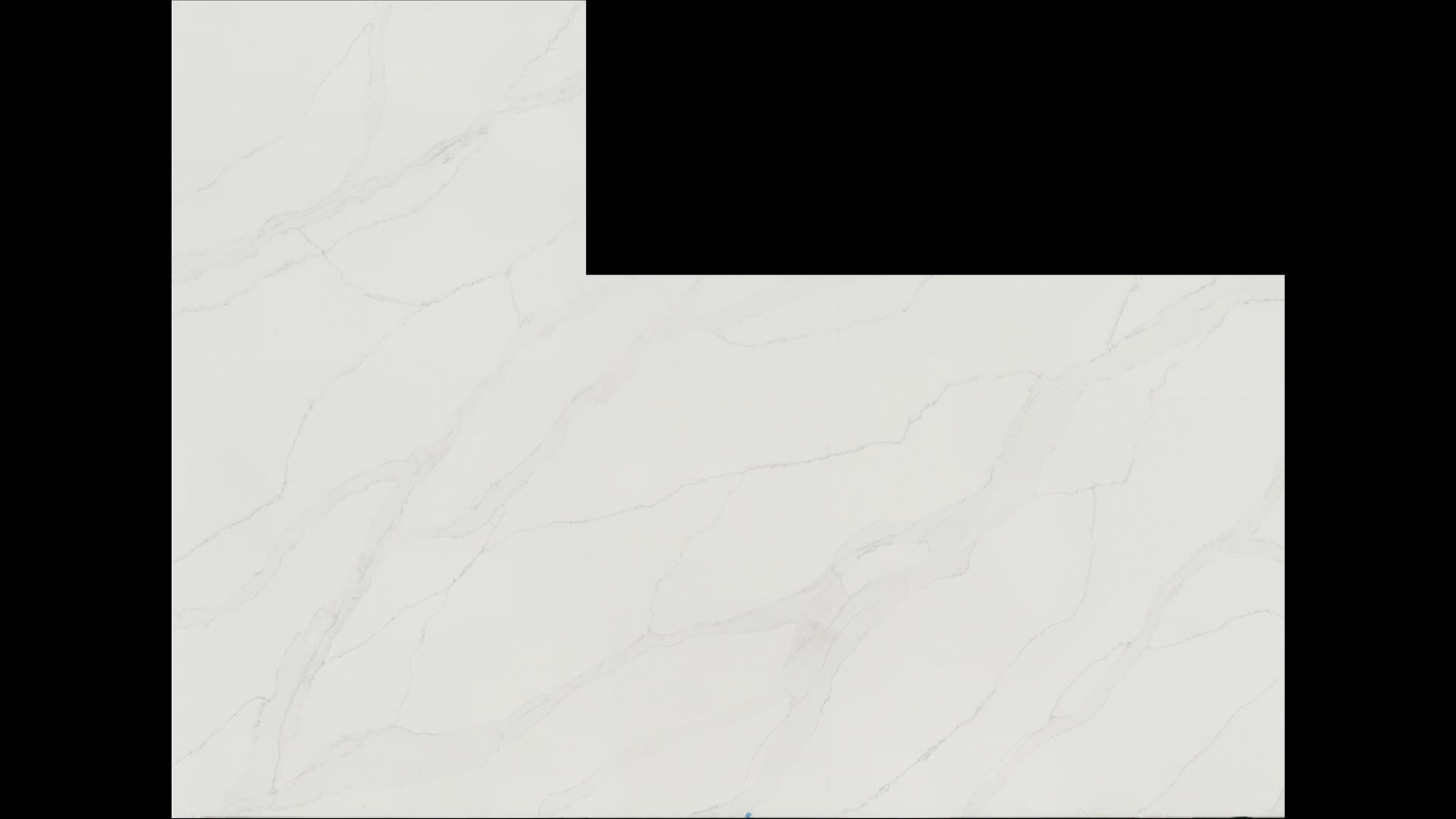 Calacatta Izaro Quartz Slabs