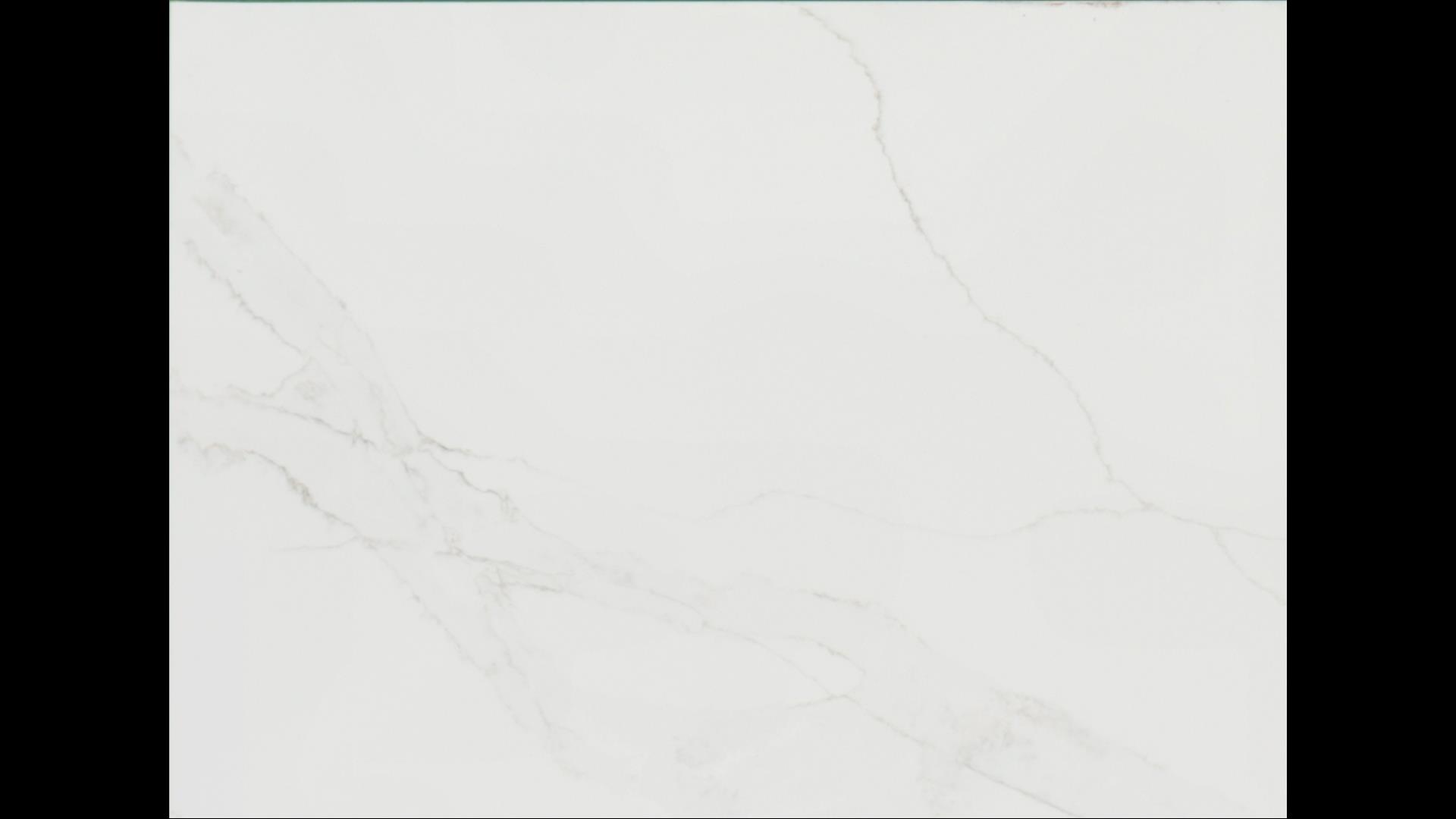 Calacatta Izaro Quartz Slabs