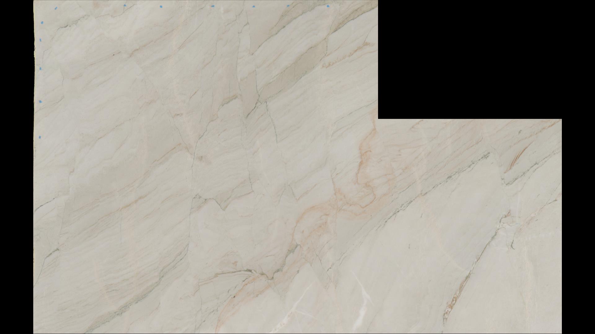 White Taj Quartzite Slabs