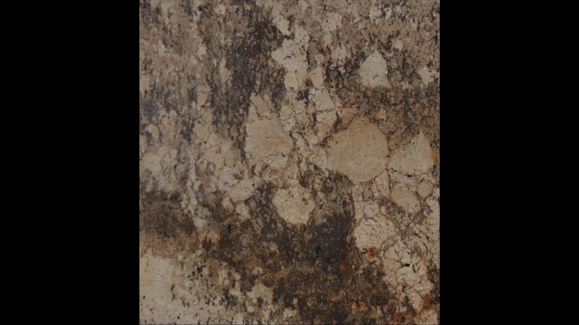 Havana Granite Slabs